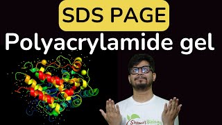 SDS PAGE gel electrophoresis  sds page principle explained  poly acrylamide gel electrophoresis [upl. by Rugg697]