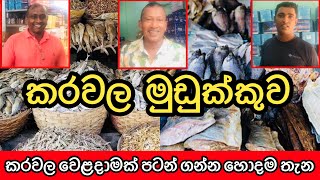 කරවල තොග මිලට  Dry Fish Importers Exporters Wholesalers HarshanakalumVlogs [upl. by Terra]