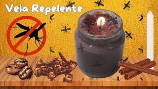 Cómo Hacer una Vela Repelente de Mosquitos con Café Clavo y Canela  DIY Antimosquitos Natural [upl. by Irrac342]