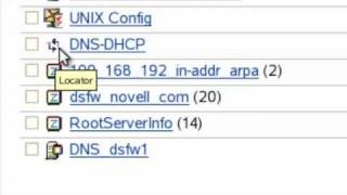 Managing Novell DNS with iManager [upl. by Linnette]