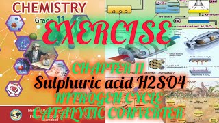 EXERCISE CHAPTER 11 CHEMISTRY CLASS 11 NBF FEDERAL  SULPHURIC ACID NITROGEN CYCLE  CAT CONVERTER [upl. by Assin]