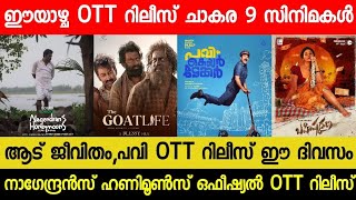 New Malayalam Movie OTT Releases  Aadu JeevithamPavi Confirmed OTT Release Date  This Week OTT [upl. by Ahseneuq]