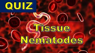 QUIZ  Tissue Nematode infections W bancrofti B malayi L loa O volvulus T spiralis [upl. by Camilia477]