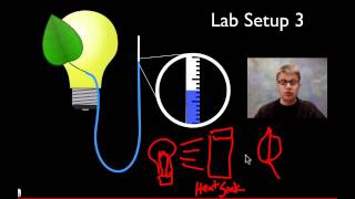 AP Biology Lab 9 Transpiration [upl. by Nhtanhoj]