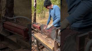 Splitting Madrone Firewood w Home Made Log Splitter Arbutus Best Firewood [upl. by Annua357]