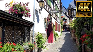 RÜDESHEIM am RHEIN  Stadtrundgang 🇩🇪 4K [upl. by Fachan]