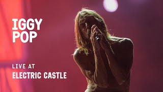 Iggy Pop Live  Electric Castle 2023 [upl. by Eenattirb305]