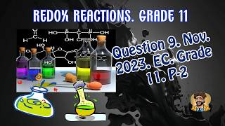 Everything about Redox Reaction Question 9 Nov 2023 EC Paper 2 Grade 11 [upl. by Assenar]