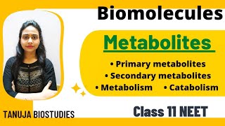 Biomolecules  Primary amp Secondary metabolites  Catabolism amp Anabolism  Class 11 BiologyNEET [upl. by Colligan]