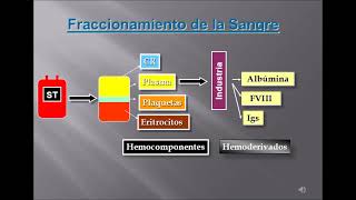 PREPARACION HEMOCOMPONENTES [upl. by Yvonne]