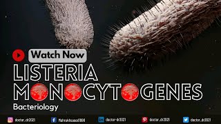 Listeria Monocytogenes Pathogenesis Diagnosis Causes Symptoms and Treatment  Bacteriology [upl. by Abelard866]