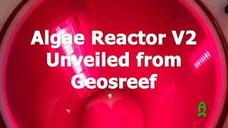 New and Improved Algae Reactor from Geosreef  RAP Orlando 2024 [upl. by Hgierb832]