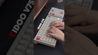 Cidoo V75 ampV33 keyboardbuild keebs type asmrsounds mechanicalkeyboard cidoo [upl. by Ynaffets]