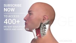 Chin Tuck  Patient Education  MedBridge [upl. by Aitas]