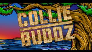 Collie Buddz Blind to You Ft New Kingston Live 2013 Cali Roots Music amp Arts Festival [upl. by Ahsitruc]