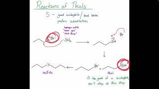 Chem128BFA24 Chapter 18 Lecture 5 Reactions of Thiols [upl. by Andres]