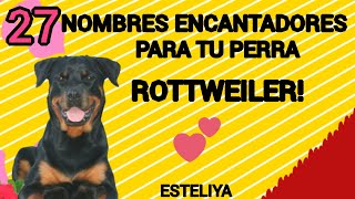 27 NOMBRES SUPER LINDOS PARA TU PERRA ROTTWEILER [upl. by Thetos]