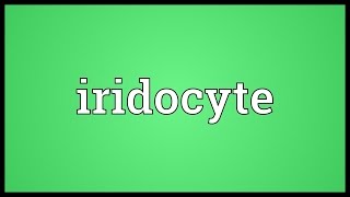 Iridocyte Meaning [upl. by Patrizia]