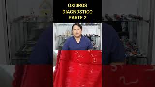 OXIUROS DIAGNOSTICO  PARTE 2 [upl. by Kati]