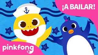 Tiburones y Pingüinos ¡A Bailar  Verano  Animales  Pinkfong Canciones Infantiles [upl. by Michelina181]