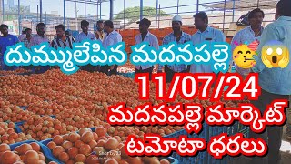 110724 Madanapalle Tomato Market price Today  Today Tomato Market Rate in Madanapalle today [upl. by Ylram]