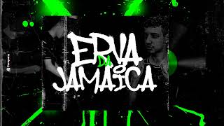 MEGAFUNK  ERVA DA JAMAICA  DJ CASARIN [upl. by Eiryk]