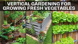 A Complete Guide to Vertical Gardening for Growing Fresh Vegetables [upl. by Westberg]