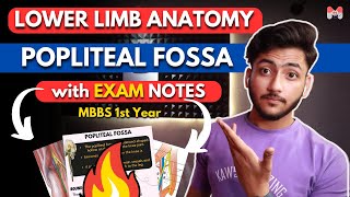 Lower Limb Anatomy Popliteal Fossa  MBBS 1st Year  Full Explanation With Exam Notes  MBBS World [upl. by Dublin]