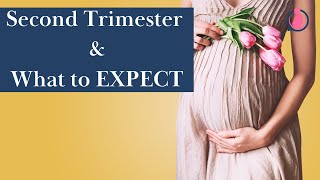 Second Trimester of Pregnancy And What To Expect Womens Wellness Guide [upl. by Teeter]