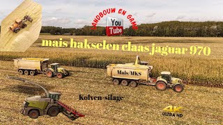 mais Kolvensilage siddeburen met claas jaguar 970 transport 4 Claas axion 850 USA 1800 CF [upl. by Kowal]