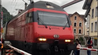 Switzerland Train Crossing in Interlaken [upl. by Enyleve58]