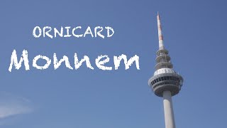 ORNICARD  Monnem deutschrap über Mannheim [upl. by Eido]