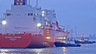 EVENING MARINE TRAFFIC AT ROTTERDAM PORT  4K SHIPSPOTTING ROTTERDAM NETHERLANDS 2023 [upl. by Tolmann962]