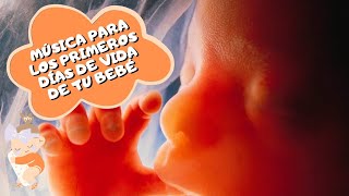 SONIDO INTRAUTERINO PARA BEBÉS 👼😴 RUIDO BLANCO PARA DORMIR BEBÉS [upl. by Lillywhite]