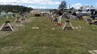 Woodchopping Final Women’s Underhand Handicap NTAA Carnival Exeter 121024 [upl. by Okwu]