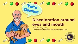 Discoloration around Eyes and Mouth  Vets Corner with Dr Jerry Klein [upl. by Eilliw]