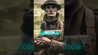 Shocking World War One facts fcats ww1 [upl. by Eitac]