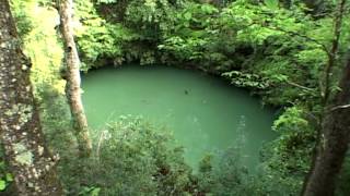 Floridas Aquifer Adventure  Wakulla Springs [upl. by Royden]