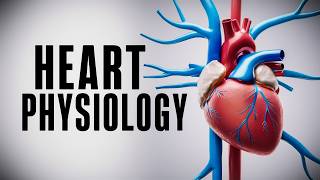 The Cardiac Cycle Simplified  What You Need to Know [upl. by Nostets]