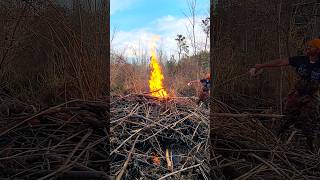 BEAVER DAM REMOVAL IN 1 MINUTE  Stubborn Debris Pile shorts [upl. by Sivatnod]