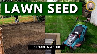 How To Grow A Lawn From Grass Seed before amp after [upl. by Hettie]