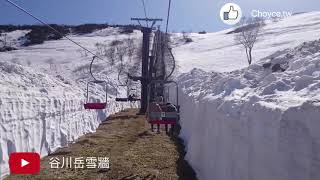 搭纜車欣賞雪牆壯麗景色 最適合滑雪與登山健行 谷川岳天神平滑雪場 [upl. by Seif205]