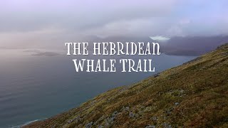 Hebridean Whale Trail [upl. by Adran]