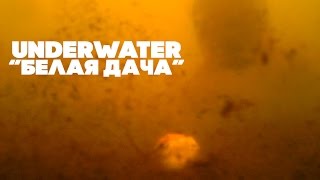 Карпфишинг Подводные съемки команды Carptoday waterwolf underwater camera  Трейлер [upl. by Okiram838]