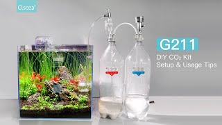 Clscea DIY CO2 kit setup and usage tips of G211 [upl. by Anneiv]