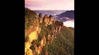 Australian Bushland Birdsong [upl. by Keri]