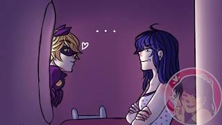 quotDelicatequot Pt 2  Miraculous Ladybug COMIC DUB [upl. by Shermy]