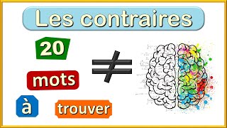 Apprendre le français  Antonyme  les mots de sens contraire [upl. by Hui203]