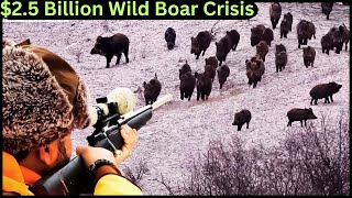 The 25 Billion Wild Boar Crisis  Modern Agriculture Technology Americas Struggle Explained [upl. by Tiga]