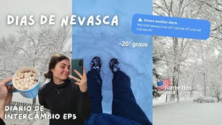 vlog dias de nevasca nos estados unidos  diário de intercâmbio ep5 [upl. by Sutelc]